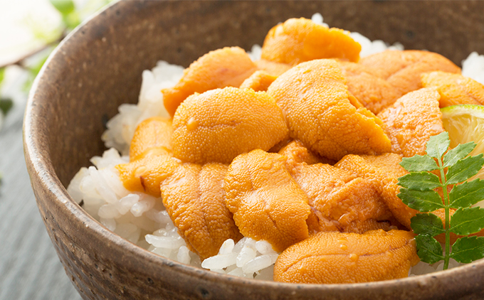【令和8年発送先行予約】塩水うに 180g×1パック | 冷蔵 | 北海道 奥尻町 送料無料