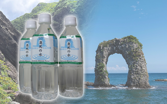 ブナの原生林が育む 天然水 〜KAMUI WATER〜「奥尻の水」500ml 24本 軟水 飲料水 水 ミネラルウォーター ナチュラルウォーター ナチュラルミネラルウォーター ペットボトル 名水 奥尻島 天然湧水 備蓄水 防災備蓄 まとめ買い | 北海道 奥尻町 送料無料
