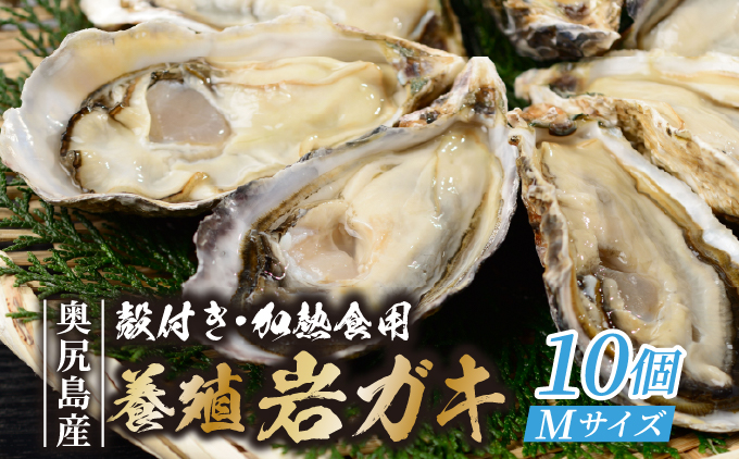 【先行予約 2026年7月20日より発送】奥尻島産養殖岩ガキ【Mサイズ】殻付き 10個入り（加熱食用）〜豊かな海が育てた海の宝石〜 | 冷蔵 | 北海道 奥尻町 送料無料  OKS13-003