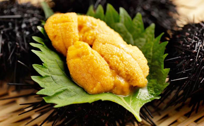 【令和8年発送先行予約】塩水うに 180g×1パック | 冷蔵 | 北海道 奥尻町 送料無料