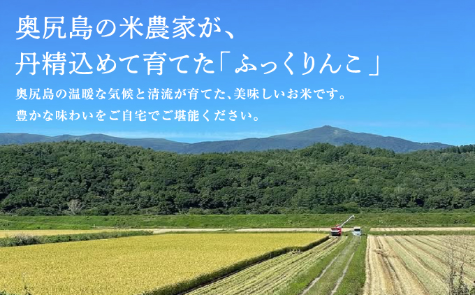 【定期便】《令和7年度産》 奥尻産米「ふっくりんこ」10kg入り (全6回 隔月) | 北海道 奥尻町 送料無料
