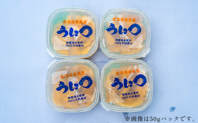 【2026年7月上旬頃より順次発送】北海道奥尻産「キタムラサキウニ」100g (50g×2パック) 塩水パック【期日指定不可】 | 冷蔵 | 北海道 奥尻町 送料無料