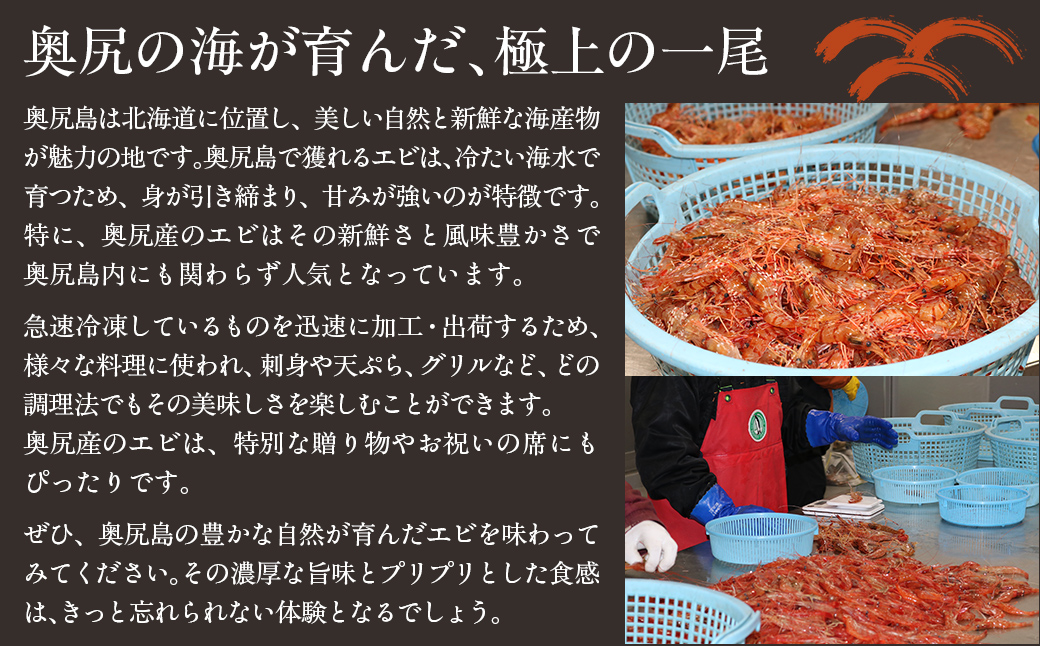 螂・蟆サ蟲カ逕」 蜀キ蜃咲ク槭お繝 250ステ2繝代ャ繧ッ OKUJ004