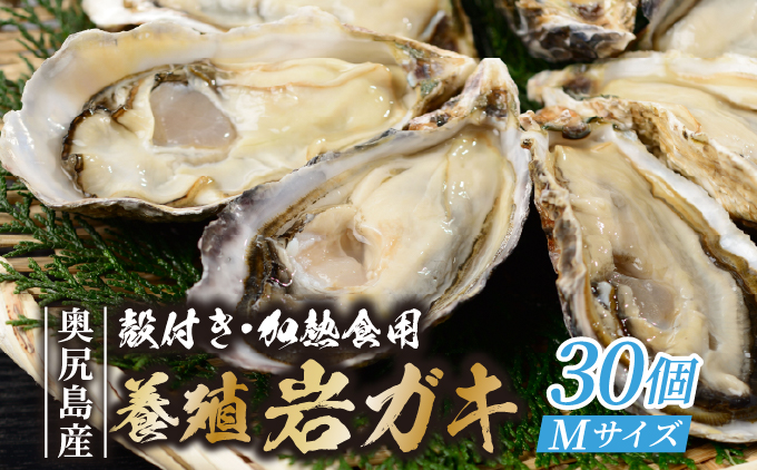 【先行予約 2026年7月20日より発送】奥尻島産養殖岩ガキ【Mサイズ】殻付き 30個入り（加熱食用）〜豊かな海が育てた海の宝石〜 | 冷蔵 | 北海道 奥尻町 送料無料  OKS13-005