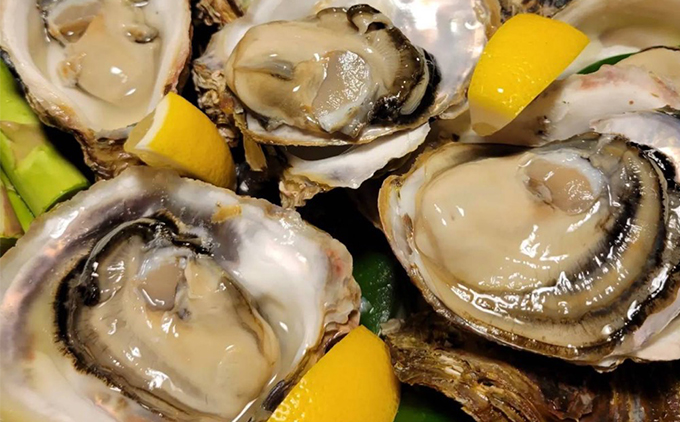 【先行予約 2026年7月20日より発送】奥尻島産養殖岩ガキ【Mサイズ】殻付き 10個入り（加熱食用）〜豊かな海が育てた海の宝石〜 | 冷蔵 | 北海道 奥尻町 送料無料 
