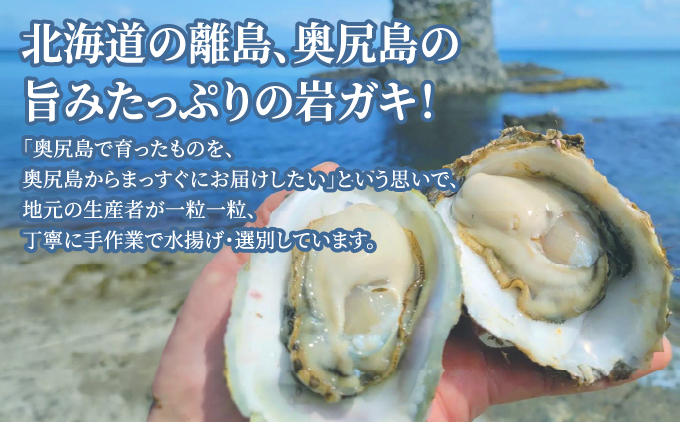 縲仙郁。御コ育エ 2026蟷エ7譛20譌・繧医j逋コ騾√大・・蟆サ蟲カ逕」鬢頑ョ門イゥ繧ャ繧ュ縲信繧オ繧、繧コ縲第ョサ莉倥″ 10蛟句・繧奇シ亥刈辭ア鬟溽畑シ峨懆ア翫°縺ェ豬キ縺瑚ご縺ヲ縺滓オキ縺ョ螳晉浹縲 | 蜀キ阡オ | 蛹玲オキ驕 螂・蟆サ逕コ 騾∵侭辟。譁 OKS13-003