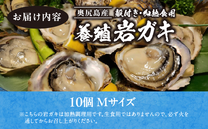 縲仙郁。御コ育エ 2026蟷エ7譛20譌・繧医j逋コ騾√大・・蟆サ蟲カ逕」鬢頑ョ門イゥ繧ャ繧ュ縲信繧オ繧、繧コ縲第ョサ莉倥″ 10蛟句・繧奇シ亥刈辭ア鬟溽畑シ峨懆ア翫°縺ェ豬キ縺瑚ご縺ヲ縺滓オキ縺ョ螳晉浹縲 | 蜀キ阡オ | 蛹玲オキ驕 螂・蟆サ逕コ 騾∵侭辟。譁 OKS13-003