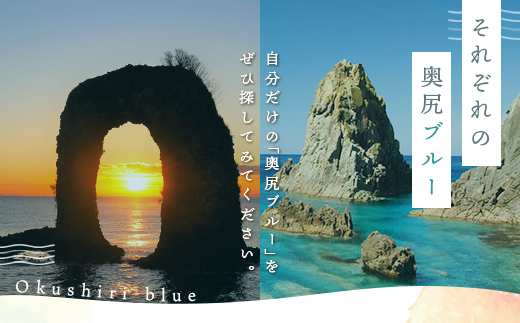 【2025年度先行予約】北海道奥尻産「キタムラサキウニ」100g (塩水パック)【期日指定不可】 OKUH016