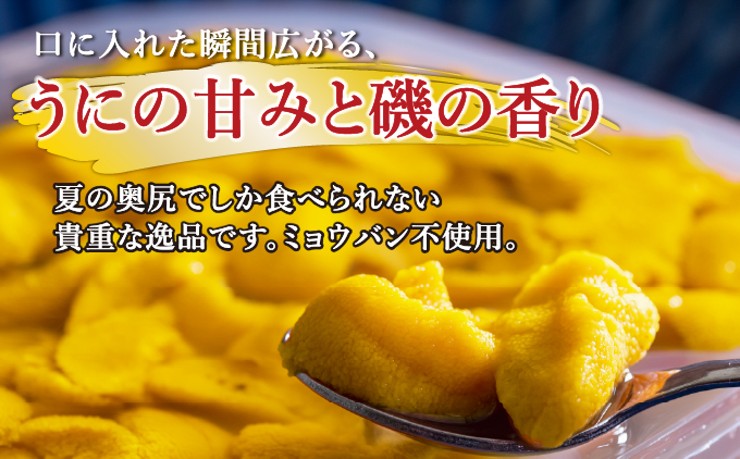 【2026年7月上旬頃より順次発送】北海道奥尻産「キタムラサキウニ」500g (100g×5パック) 塩水パック【期日指定不可】 | 冷蔵 | 北海道 奥尻町 送料無料 OKS06-008