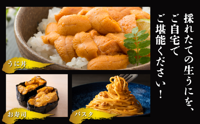 縲蝉サ、蜥8蟷エ逋コ騾∝郁。御コ育エ縲大。ゥ豌エ縺縺ォ 80gテ1繝代ャ繧ッ | 蜀キ阡オ | 蛹玲オキ驕 螂・蟆サ逕コ 騾∵侭辟。譁