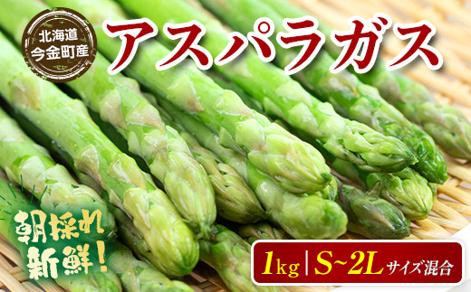 【先行予約】【訳あり】朝採れ新鮮アスパラ 1kg（S〜2Lサイズ混合） (2026年3月下旬~6月中旬または2026年7月上旬~9月上旬頃発送)  野菜 北海道産 バーベキュー BBQ キャンプ 旬野菜 ワケあり わけあり アスパラガス 栄養満点 冷蔵発送  F21W-318