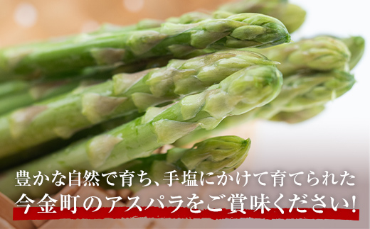 【先行予約】朝採れ新鮮アスパラ 1.5kg（Mサイズ） (2026年3月下旬~6月中旬または2026年7月上旬~9月上旬頃発送)   F21W-454