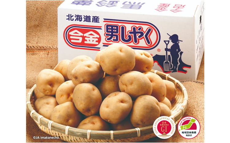 莉企醍塙辷オ繧ウ繝ュ繝繧アシ6蛟句・シ嘉3陲 F21W-252