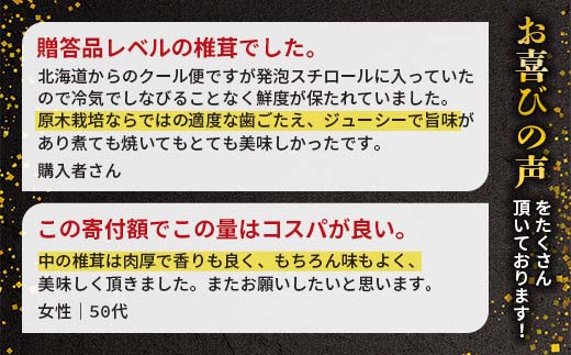 【先行予約】2026年8月以降順次発送 原木栽培 生椎茸 約1kg 里の恵 しいたけ シイタケ きのこ キノコ 椎茸 野菜  F21W-575