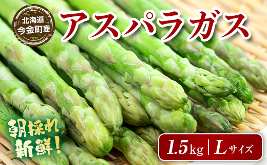 【先行予約】朝採れ新鮮アスパラ 1.5kg（Lサイズ） (2026年3月下旬~6月中旬または2026年7月上旬~9月上旬頃発送)   F21W-455