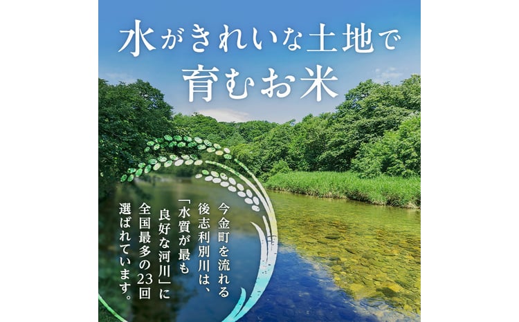 縲蝉サ、蜥7蟷エ逕」譁ー邀ウ縲 繧繧√エ繧翫°邏5kg 蛹玲オキ驕 譁ー邀ウ 莉、蜥7蟷エ 莉企醍アウ 邀ウ 逋ス邀ウ 邀ウ菫オ 縺薙a 縺翫%繧 繧繧√エ繧翫° F21W-497