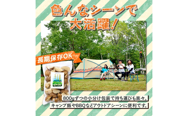 北海道今金町【幻】の今金男爵フレンチフライ 1.6kg（800g×2袋）  F21W-172