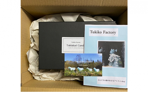 Tukiko Factory Tukiko Factory 譛ィ蠖ォ繧顔企「ィ繧ュ繝」繝ウ繝峨Ν F21W-101