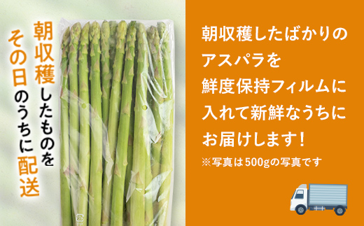 【先行予約】朝採れ新鮮アスパラ 1.5kg（Mサイズ） (2026年3月下旬~6月中旬または2026年7月上旬~9月上旬頃発送)   F21W-454