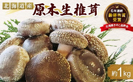 【先行予約】2026年4月以降順次発送 原木栽培 生椎茸 約1kg 里の恵 しいたけ シイタケ きのこ キノコ 椎茸 野菜  F21W-571