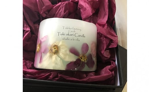 Tukiko Factory 驥手干繧ュ繝」繝ウ繝峨Ν F21W-104