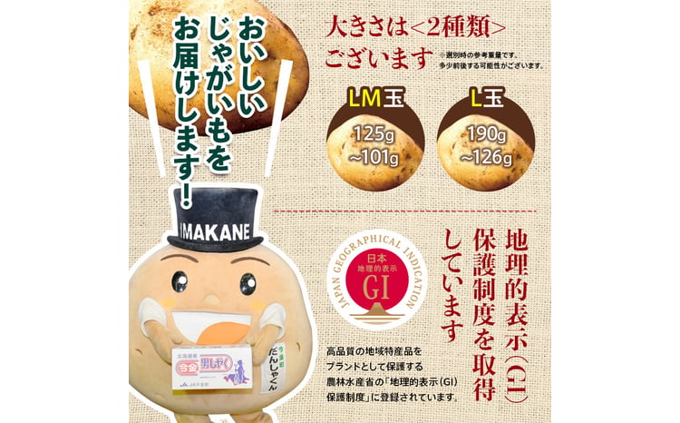 TVで紹介！【先行予約】今金男しゃく（Lサイズ）約10kg【GI認証取得】 じゃがいも 男爵 男しゃく いも だんしゃく 野菜 幻 北海道 今金町 GI認証 Lサイズ 10kg 青空レストラン F21W-287