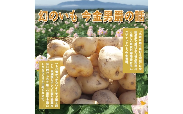 北海道今金町【幻】の今金男爵フレンチフライ 3.2kg（800g×4袋）   F21W-174