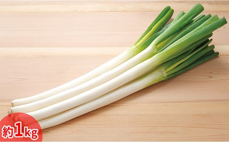 今金産軟白長ねぎ 約1kg  F21W-247