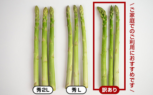 【訳あり】朝採れ新鮮アスパラ 1kg（S〜2Lサイズ混合） (2026年3月下旬~6月中旬または2026年7月上旬~9月上旬頃発送)  野菜 北海道産 バーベキュー BBQ キャンプ 旬野菜 ワケあり わけあり アスパラガス 栄養満点 冷蔵発送  F21W-318