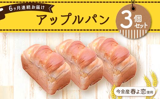 【6ヶ月連続お届け】今金産春よ恋使用！アップルパン3個セット  F21W-470
