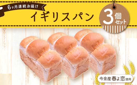【6ヶ月連続お届け】今金産春よ恋使用！イギリスパン3個セット  F21W-473