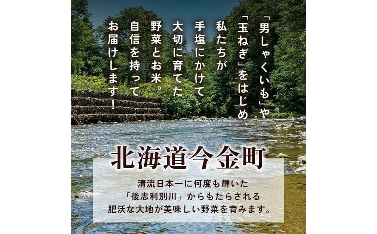 北海道産旬のこだわり野菜とお米1年定期便 男爵 玉ねぎ ふっくりんこ 軟白長ネギ アスパラ ななつぼし ミニトマト ブロッコリー 野菜 米 旬  F21W-490