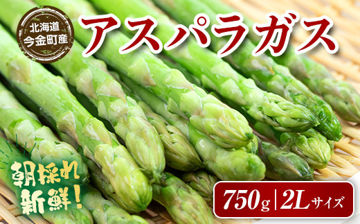 【先行予約】朝採れ新鮮アスパラ 750g （２Lサイズ） (2026年3月下旬~6月中旬または2026年7月上旬~9月上旬頃発送)   F21W-459