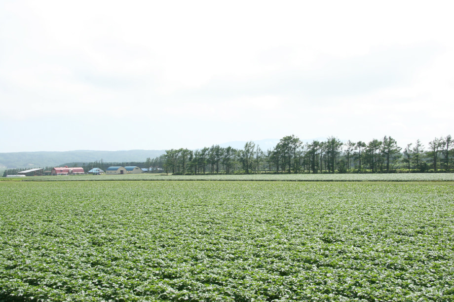 産業の振興に関する事業