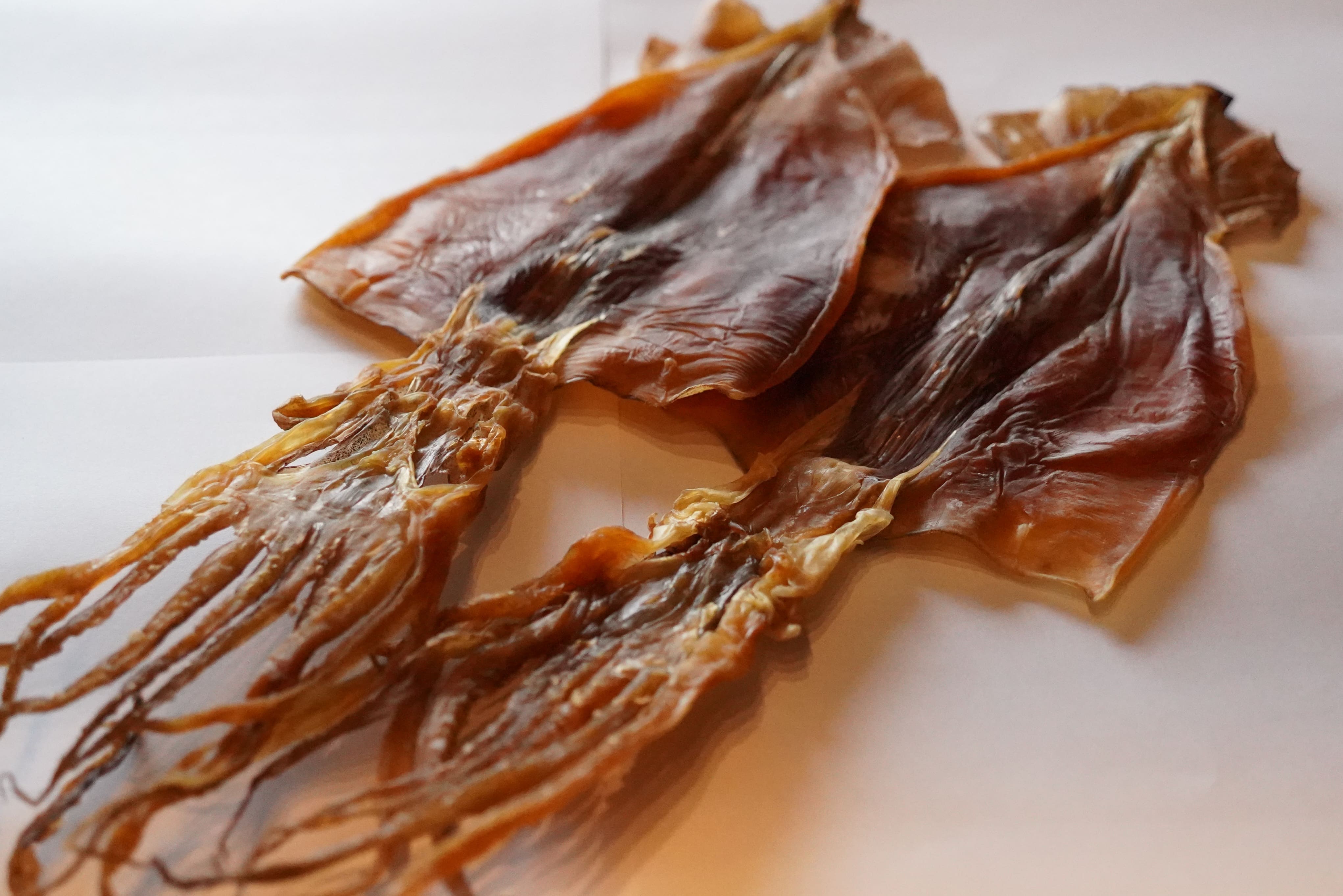 肉厚するめ 10枚入り せたな町 ふるさと納税 