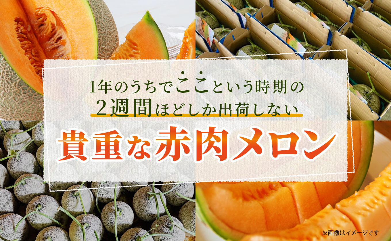 【2025年7月中旬から順次発送】北海道せたな町の短い夏に力強く育つ極旨メロン「北紅キング」　4玉