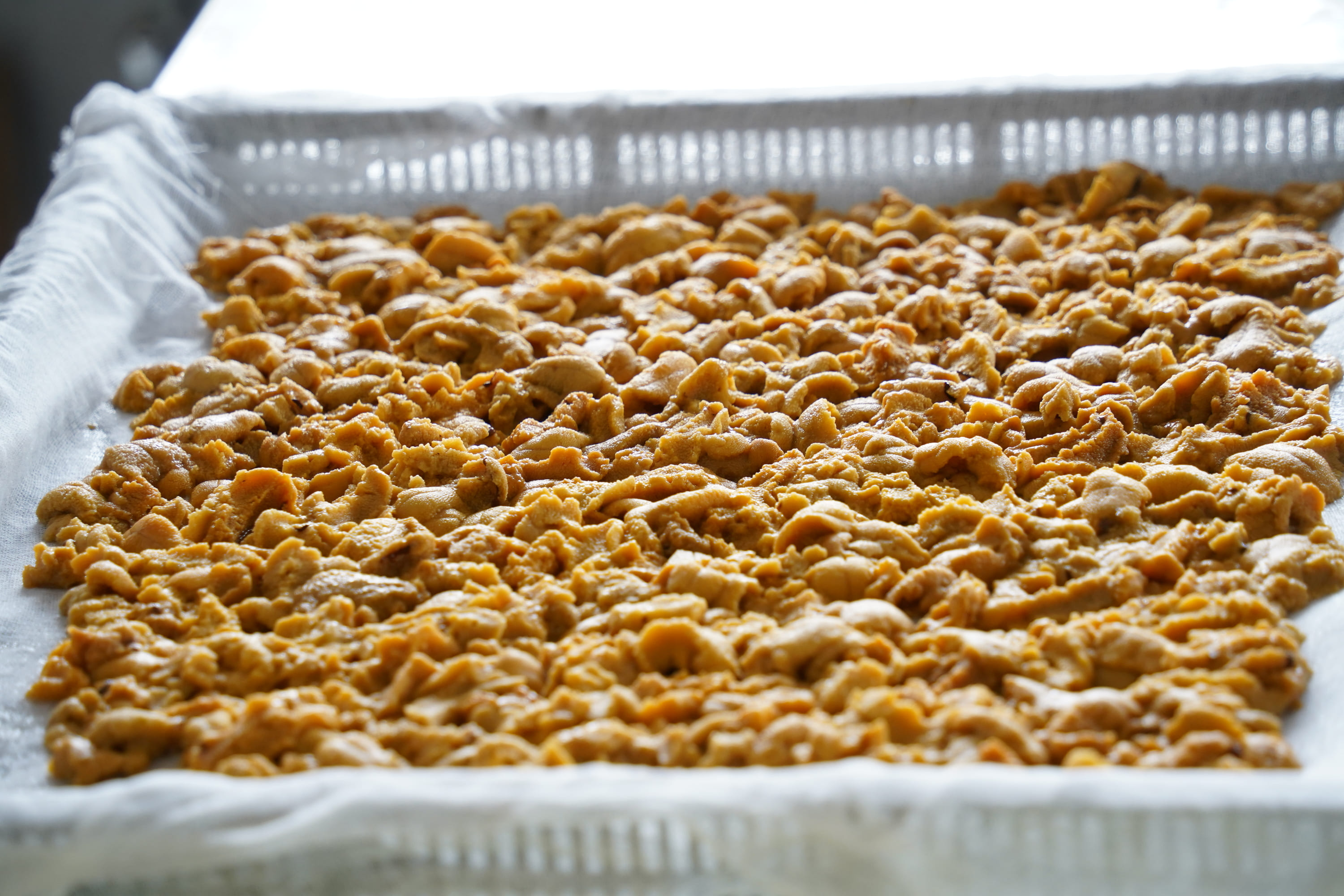 縲蝉サ、蜥7蟷エ譁ー迚ゥ縲醍音謦ー邊偵≧縺ォ譛ィ邂ア6譛ャ蜈・繧 縺帙◆縺ェ逕コ 縺オ繧九&縺ィ邏咲ィ