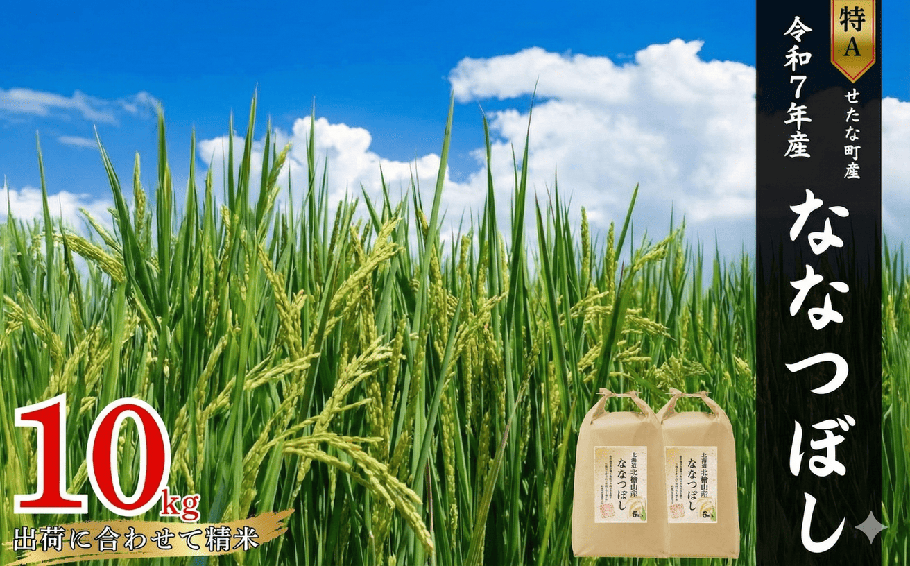 【特Aランク】令和7年産新米 北海道 せたな町産 ななつぼし 精米 10kg ふるさと納税
