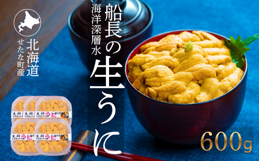 【2026年6月上旬から順次発送】【海洋深層水使用】北海道産 生うに 120g×5個 キタムラサキウニ 直送 旬 うに丼 海鮮 せたな町 ふるさと納税