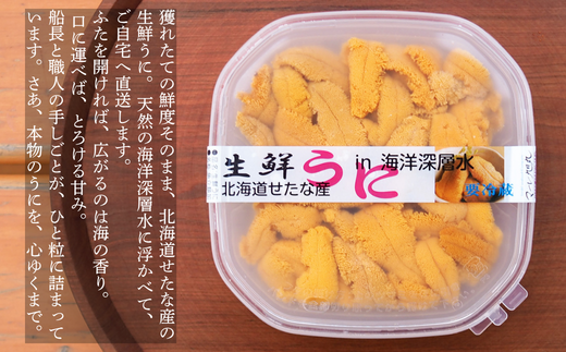 縲2026蟷エ6譛井ク頑流縺九i鬆谺。逋コ騾√代先オキ豢区キア螻、豌エ菴ソ逕ィ縲大圏豬キ驕鍋肇 逕溘≧縺ォ 120gテ2蛟 繧ュ繧ソ繝繝ゥ繧オ繧ュ繧ヲ繝 逶エ騾 譌ャ 繝代せ繧ソ 蟇ソ蜿ク 辟シ縺 縺縺ォ荳シ 豬キ魄ョ 縺帙◆縺ェ逕コ 縺オ繧九&縺ィ邏咲ィ