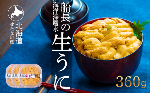 【2026年6月上旬から順次発送】【海洋深層水使用】北海道産 生うに 120g×3個 キタムラサキウニ 直送 旬 うに丼 海鮮 せたな町 ふるさと納税