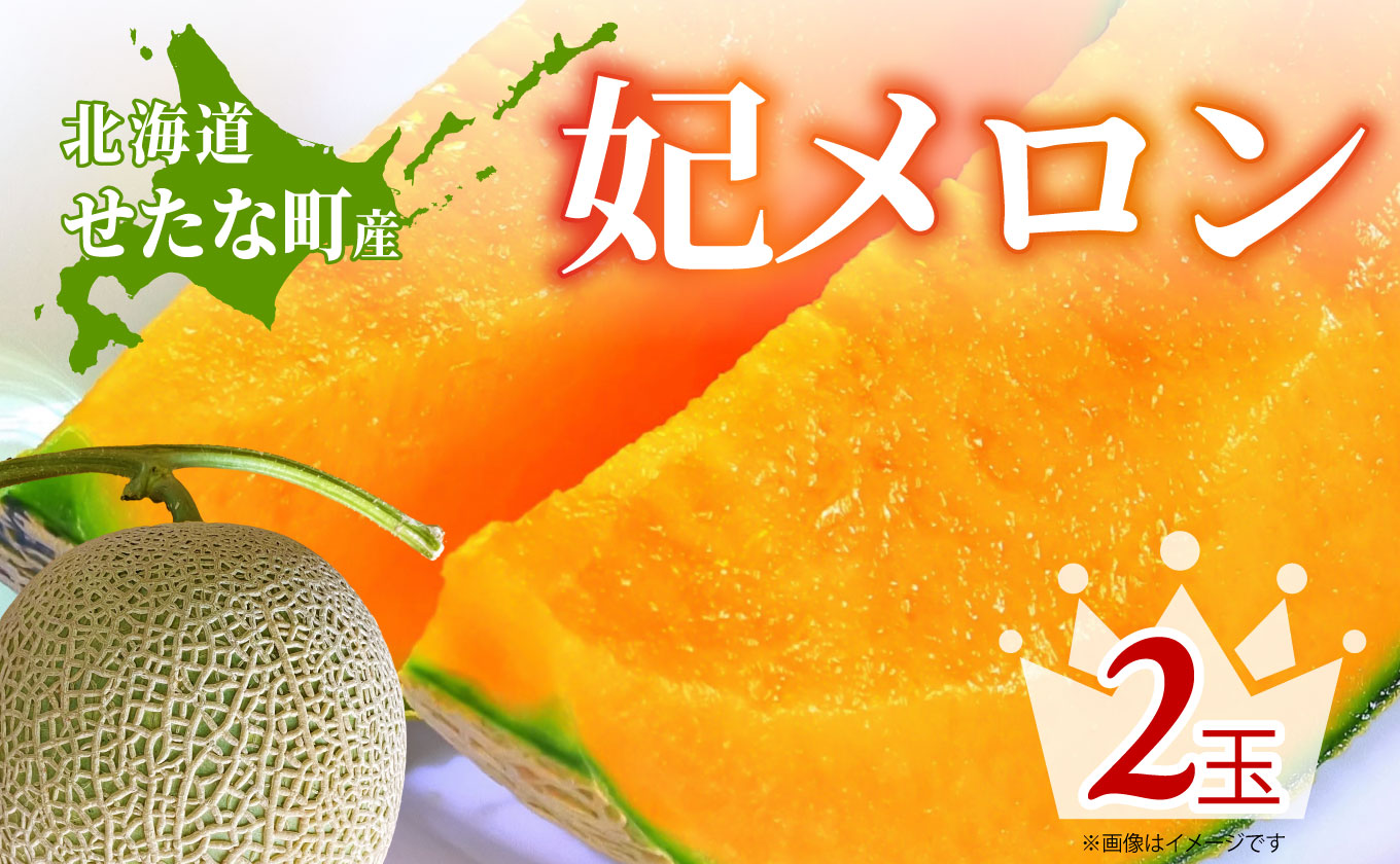 【2026年8月上旬から順次発送】【北海道産極旨メロン】妃メロン 2玉 メロン 旬 野菜 赤肉 ジュース アールスメロン 産地直送 せたな町 ふるさと納税