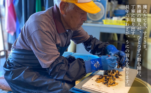 縲2026蟷エ6譛井ク頑流縺九i鬆谺。逋コ騾√代先オキ豢区キア螻、豌エ菴ソ逕ィ縲大圏豬キ驕鍋肇 逕溘≧縺ォ 120gテ2蛟 繧ュ繧ソ繝繝ゥ繧オ繧ュ繧ヲ繝 逶エ騾 譌ャ 繝代せ繧ソ 蟇ソ蜿ク 辟シ縺 縺縺ォ荳シ 豬キ魄ョ 縺帙◆縺ェ逕コ 縺オ繧九&縺ィ邏咲ィ