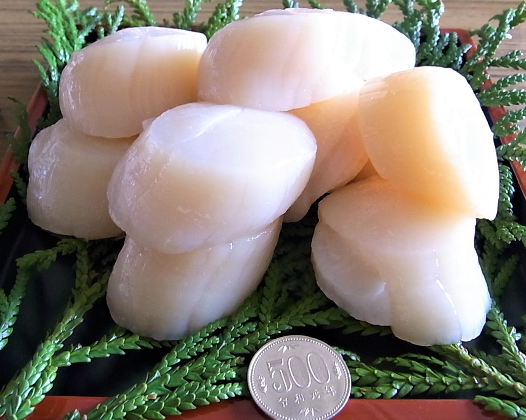 鍋とお刺身よくばりセット　北海道産天然ホタテ玉冷・鮭卵いくら醤油漬け・海鮮しゃぶしゃぶ