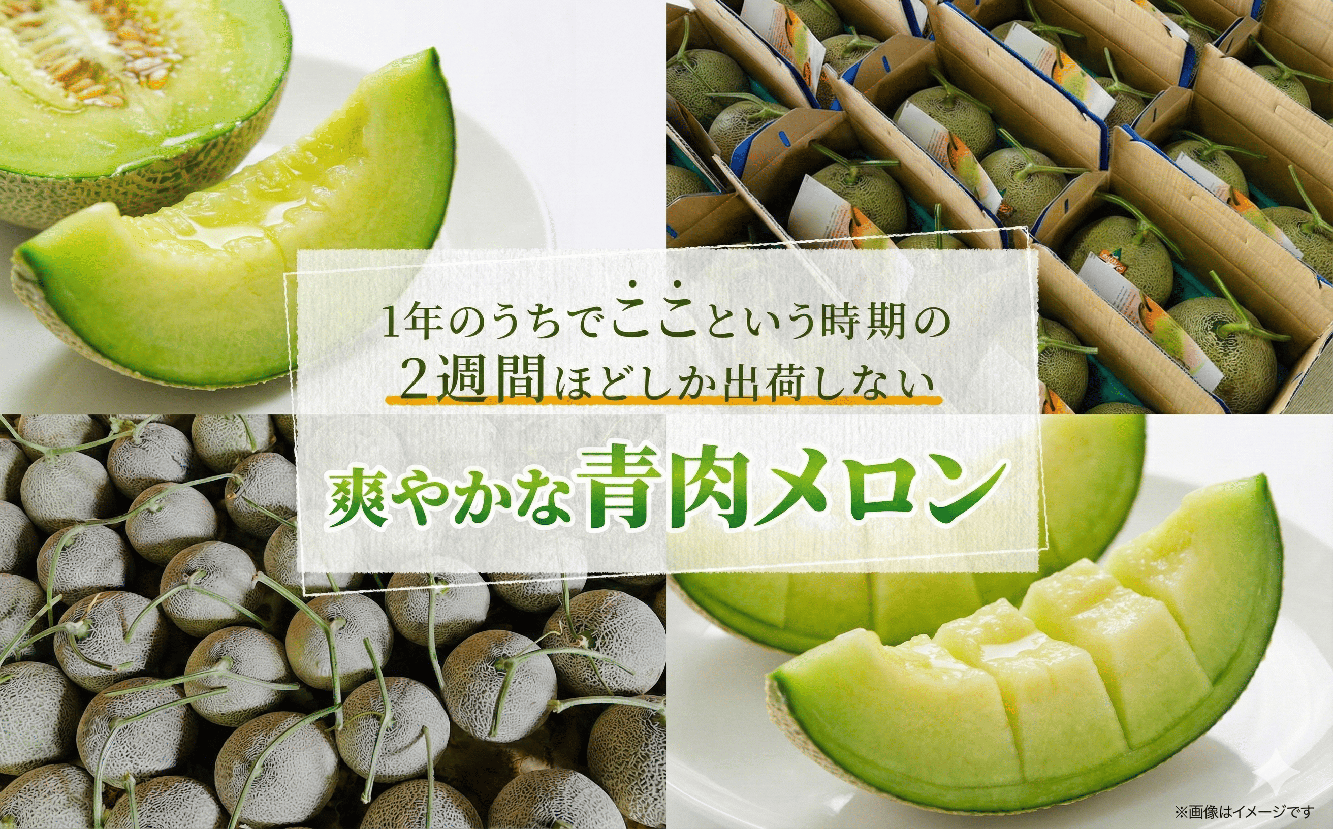 ã2026幎8æäžæ¬ããé æ¬¡çºéããåæµ·éç£æ¥µæšã¡ãã³ãã¯ã¬ã»ã³ãã¡ãã³ 2ç ã¡ãã³ æ¬ éè éè ãžã¥ãŒã¹ ç£å°çŽé ãããªçº ãµãããšçŽçš