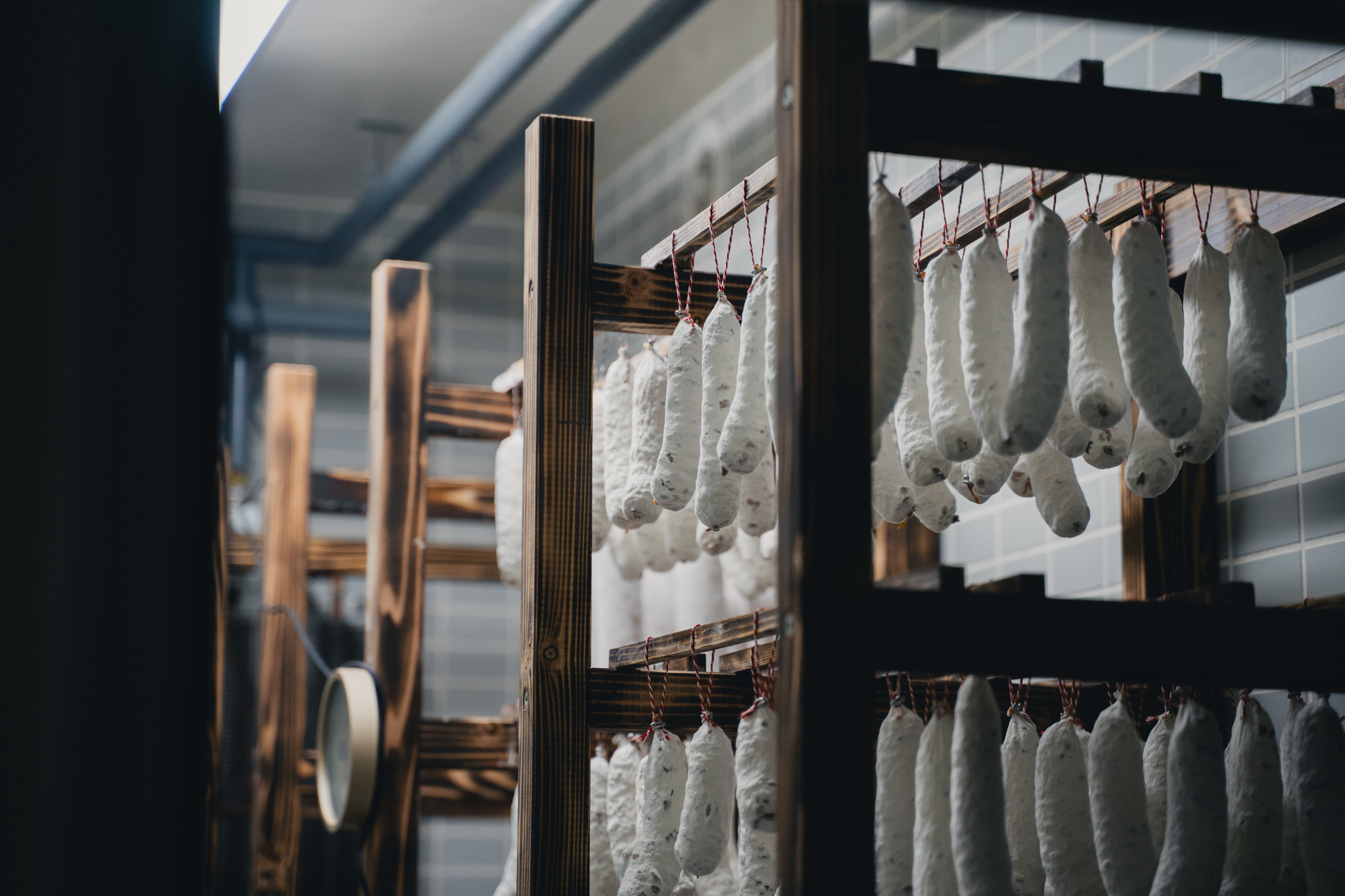 ããã€ãŸã¿ãœã·ãœã³ã»ãããçœã«ããã©ã€ãœãŒã»ãŒãž2æ¬ ãœã·ãœã³ã·ã§ã³ã© ã»ãã ãã€ãŸã¿ çãåãã ãåãå¯ã ã®ãã ãã¶ãŒã åæµ·é ãããªçº ãµãããšçŽçš