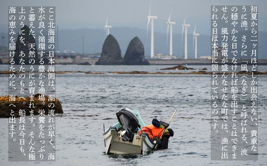 縲2026蟷エ6譛井ク頑流縺九i鬆谺。逋コ騾√代先オキ豢区キア螻、豌エ菴ソ逕ィ縲大圏豬キ驕鍋肇 逕溘≧縺ォ 120gテ1蛟 繧ュ繧ソ繝繝ゥ繧オ繧ュ繧ヲ繝 逶エ騾 譌ャ 繝代せ繧ソ 蟇ソ蜿ク 辟シ縺 縺縺ォ荳シ 豬キ魄ョ 縺帙◆縺ェ逕コ 縺オ繧九&縺ィ邏咲ィ