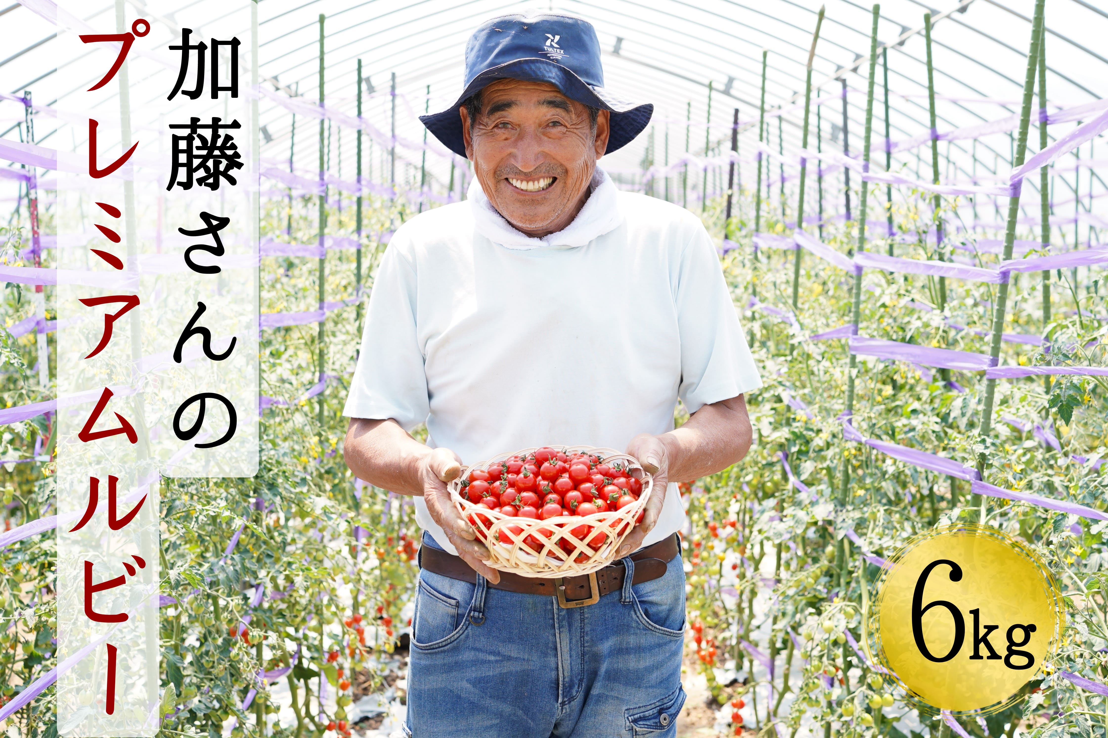 加藤さんのプレミアムルビー　6kg　北海道産高糖度フルーツミニトマト