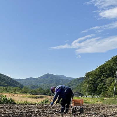 【先行予約・5月より順次発送】北海道島牧村産 訳ありアスパラガス 2kg 坂下農園【配送不可地域：離島】【1732815】
