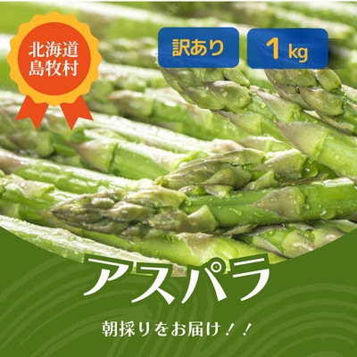 【訳あり】2025年5月中旬より発送 朝採りアスパラ【1kg】北海道 露地栽培【配送不可地域：離島】【1587135】